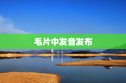 毛片中发音发布