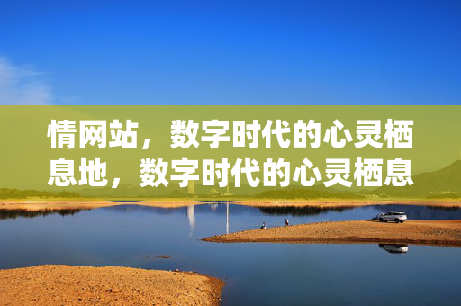 情网站,数字时代的心灵栖息地,数字时代的心灵栖息地