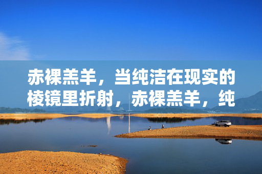 赤裸羔羊,当纯洁在现实的棱镜里折射,赤裸羔羊,纯洁在现实棱镜的折射