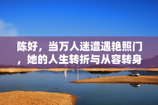 陈好，当万人迷遭遇艳照门，她的人生转折与从容转身，万人迷陈好，艳照门后的从容转身与人生转折