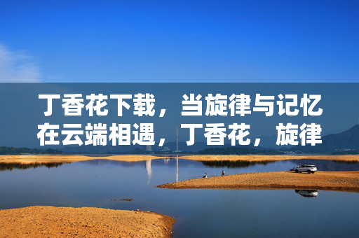 丁香花下载，当旋律与记忆在云端相遇，丁香花，旋律与记忆的云端相遇
