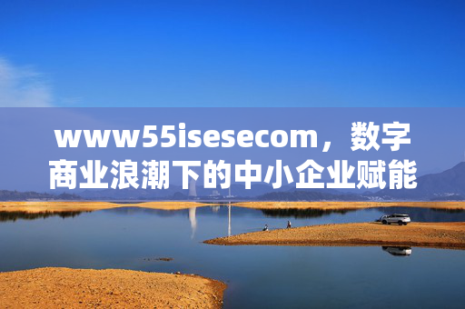 www55isesecom,数字商业浪潮下的中小企业赋能新引擎