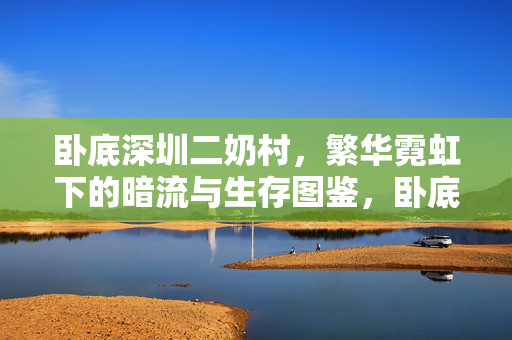 卧底深圳二奶村,繁华霓虹下的暗流与生存图鉴,卧底深圳二奶村,繁华霓虹下的暗流生存图鉴