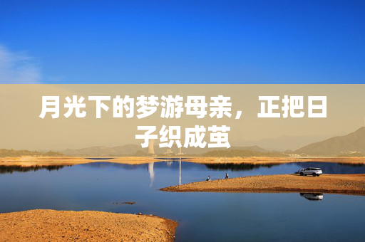 月光下的梦游母亲,正把日子织成茧