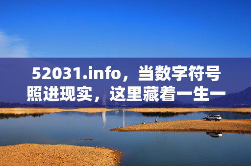 52031.info,当数字符号照进现实,这里藏着一生一世的情感密码,52031,一生一世的情感密码