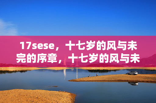 17sese,十七岁的风与未完的序章,十七岁的风与未完的序章