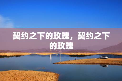 契约之下的玫瑰,契约之下的玫瑰