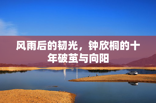 风雨后的韧光,钟欣桐的十年破茧与向阳