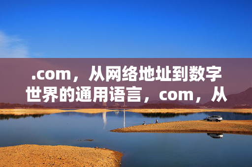.com,从网络地址到数字世界的通用语言,com,从网络地址到数字世界的通用语言