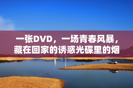 一张DVD,一场青春风暴,藏在回家的诱惑光碟里的烟火气,DVD里的青春风暴,回家光碟的烟火气