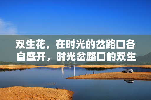 双生花,在时光的岔路口各自盛开,时光岔路口的双生花各自盛开