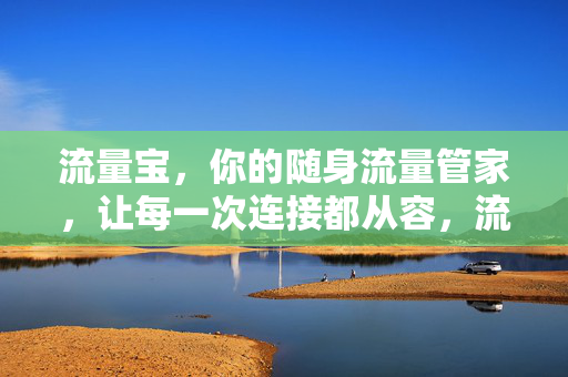 流量宝,你的随身流量管家,让每一次连接都从容,流量宝,随身流量管家,从容连接