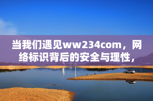当我们遇见ww234com,网络标识背后的安全与理性,ww234com,网络标识背后的安全与理性