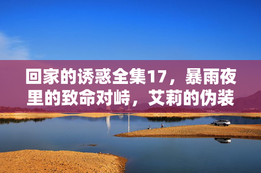 回家的诱惑全集17,暴雨夜里的致命对峙,艾莉的伪装开始崩塌,暴雨夜致命对峙,艾莉伪装终崩