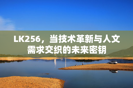 LK256,当技术革新与人文需求交织的未来密钥