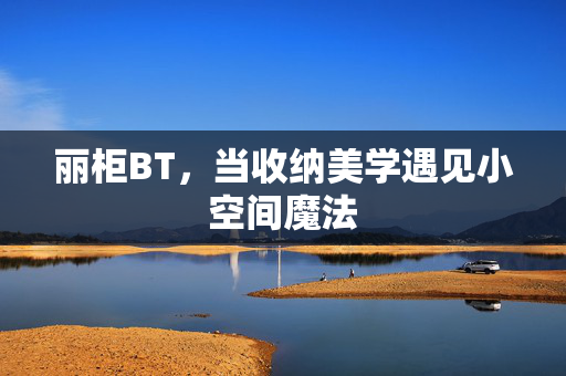 丽柜BT,当收纳美学遇见小空间魔法