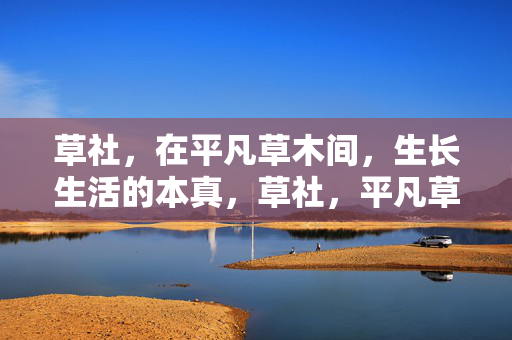 草社,在平凡草木间,生长生活的本真,草社,平凡草木间的生活本真