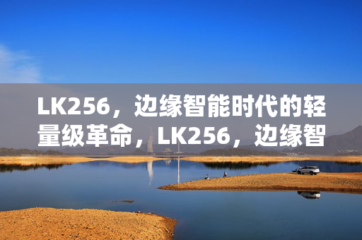 LK256,边缘智能时代的轻量级革命,LK256,边缘智能时代的轻量级革命