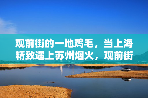 观前街的一地鸡毛,当上海精致遇上苏州烟火,观前街一地鸡毛,上海精致与苏州烟火