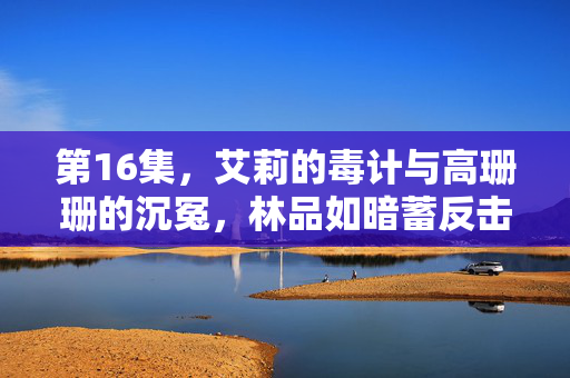 第16集,艾莉的毒计与高珊珊的沉冤,林品如暗蓄反击之力,艾莉毒计沉冤高珊珊 林品如暗蓄反击之力