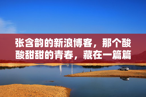张含韵的新浪博客,那个酸酸甜甜的青春,藏在一篇篇文字里,张含韵博客里的酸酸甜甜青春