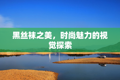 黑丝袜之美,时尚魅力的视觉探索