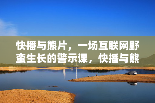 快播与熊片,一场互联网野蛮生长的警示课,快播与熊片,互联网野蛮生长的警示课