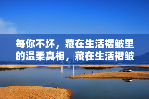 每你不坏，藏在生活褶皱里的温柔真相，藏在生活褶皱里的温柔真相