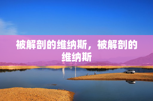 被解剖的维纳斯,被解剖的维纳斯