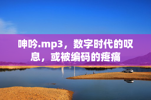 呻吟.mp3,数字时代的叹息,或被编码的疼痛