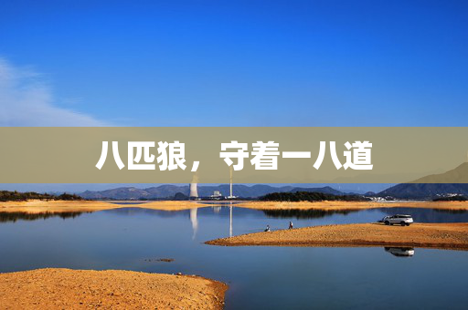 八匹狼,守着一八道