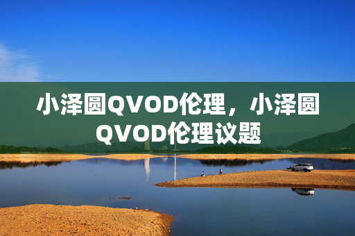 小泽圆QVOD伦理,小泽圆QVOD伦理议题