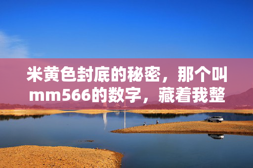 米黄色封底的秘密,那个叫mm566的数字,藏着我整个童年,米黄色封底的mm566,藏着我整个童年