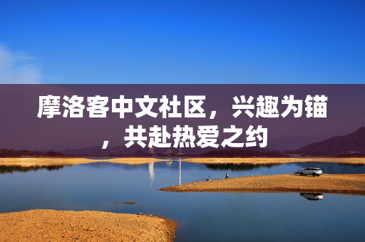 摩洛客中文社区,兴趣为锚,共赴热爱之约