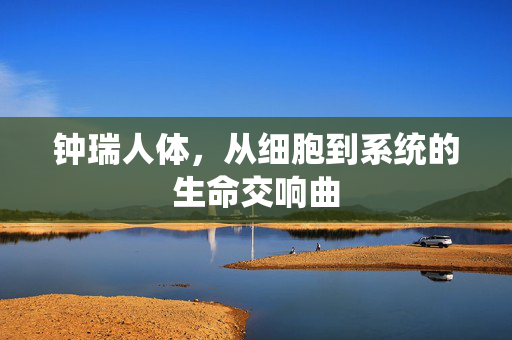钟瑞人体,从细胞到系统的生命交响曲