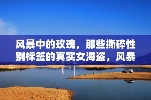 风暴中的玫瑰,那些撕碎性别标签的真实女海盗,风暴玫瑰,撕碎性别标签的真实女海盗