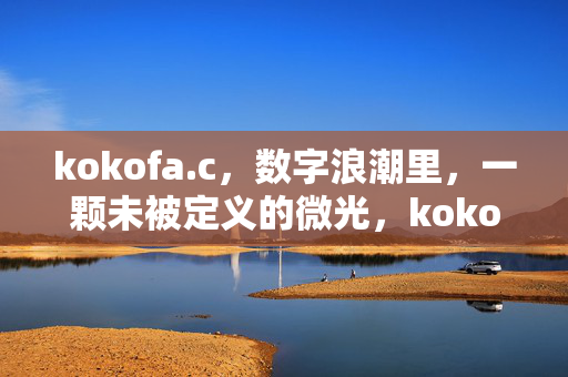 kokofa.c,数字浪潮里,一颗未被定义的微光,kokofa.c,数字浪潮中的未定义微光
