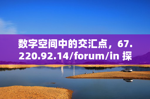 数字空间中的交汇点,67.220.92.14/forum/in 探访记