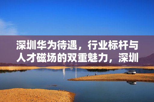 深圳华为待遇,行业标杆与人才磁场的双重魅力,深圳华为待遇,行业标杆与人才磁场的双重魅力
