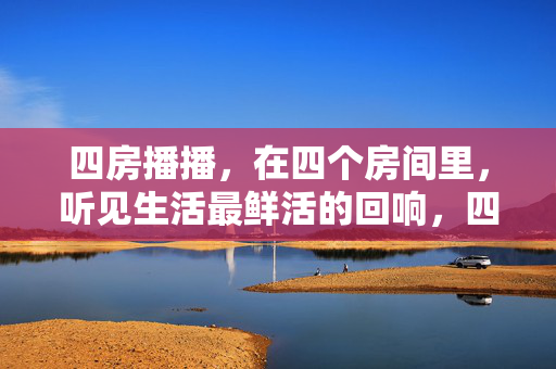 四房播播,在四个房间里,听见生活最鲜活的回响,四房播播,在四个房间,听见生活最鲜活的回响
