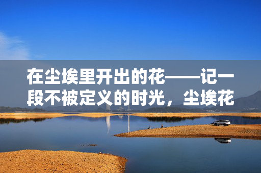 在尘埃里开出的花——记一段不被定义的时光,尘埃花开,时光无定义