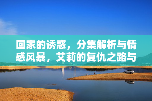 回家的诱惑,分集解析与情感风暴,艾莉的复仇之路与林品如的重生,回家的诱惑分集解析,艾莉复仇与林品如重生的情感风暴