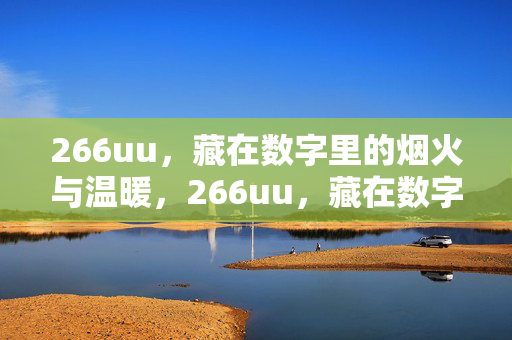 266uu,藏在数字里的烟火与温暖,266uu,藏在数字里的烟火与温暖