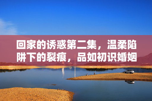 回家的诱惑第二集,温柔陷阱下的裂痕,品如初识婚姻暗礁,回家的诱惑第二集,品如初识婚姻暗礁,温柔陷阱下的裂痕