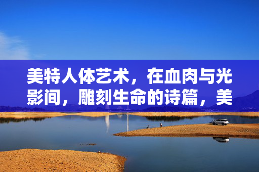 美特人体艺术,在血肉与光影间,雕刻生命的诗篇,美特人体艺术,血肉光影间的生命诗篇