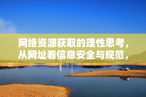 网络资源获取的理性思考,从网址看信息安全与规范,网络资源获取的理性思考,从网址看信息安全与规范