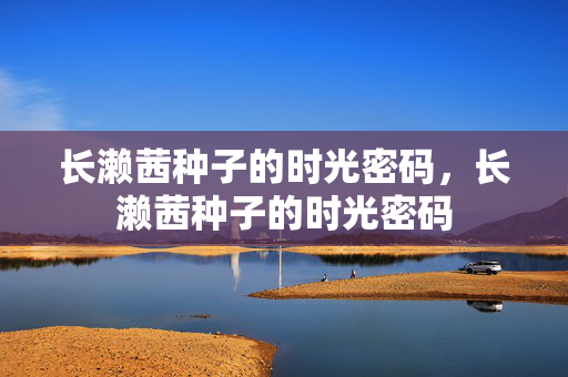 长濑茜种子的时光密码,长濑茜种子的时光密码