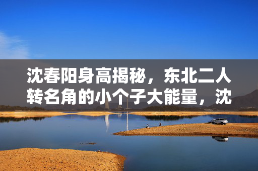 沈春阳身高揭秘,东北二人转名角的小个子大能量,沈春阳身高揭秘,东北二人转名角的小个子大能量