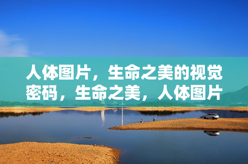 人体图片,生命之美的视觉密码,生命之美,人体图片的视觉密码