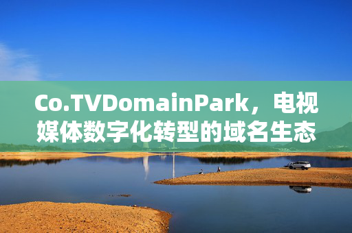Co.TVDomainPark,电视媒体数字化转型的域名生态枢纽,Co.TVDomainPark,电视媒体数字化转型的域名生态枢纽